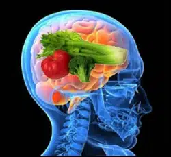 brain boosting power foods brain boosting power foods